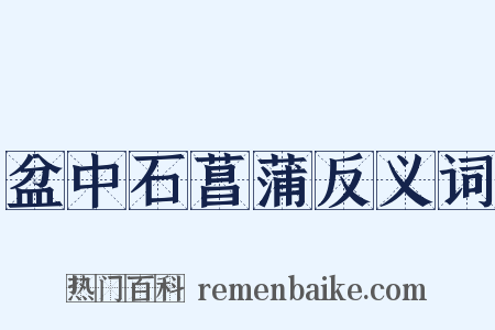 盆中石菖蒲反义词是什么意思的图片